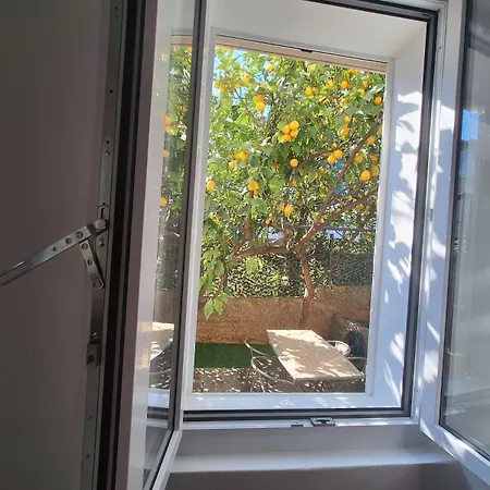 Lemon Garden Apartment