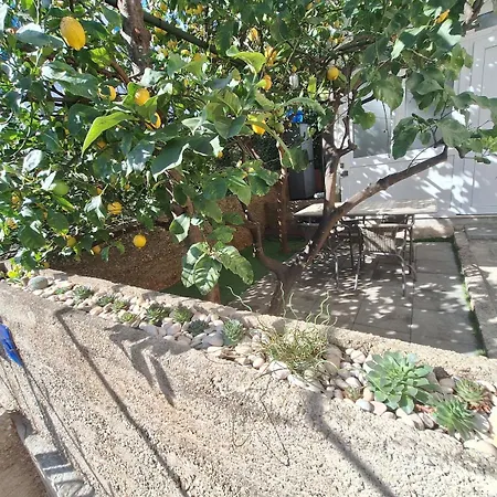 Lemon Garden Apartment