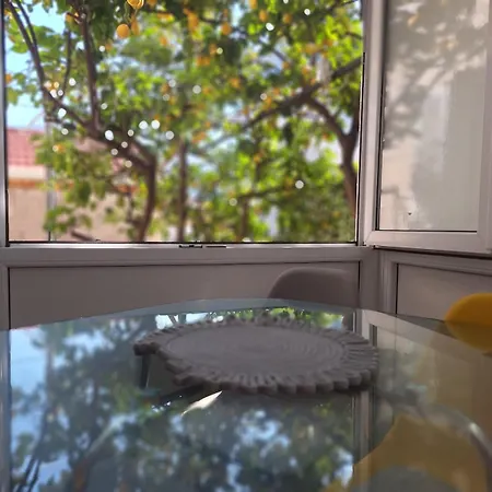 Lemon Garden